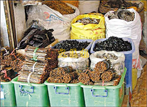 Qingping Market, Guangzhou